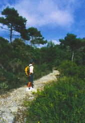 Sport Outdoor